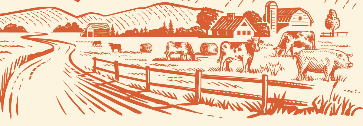 Stock Your Freezer with Beef Worth Knowing