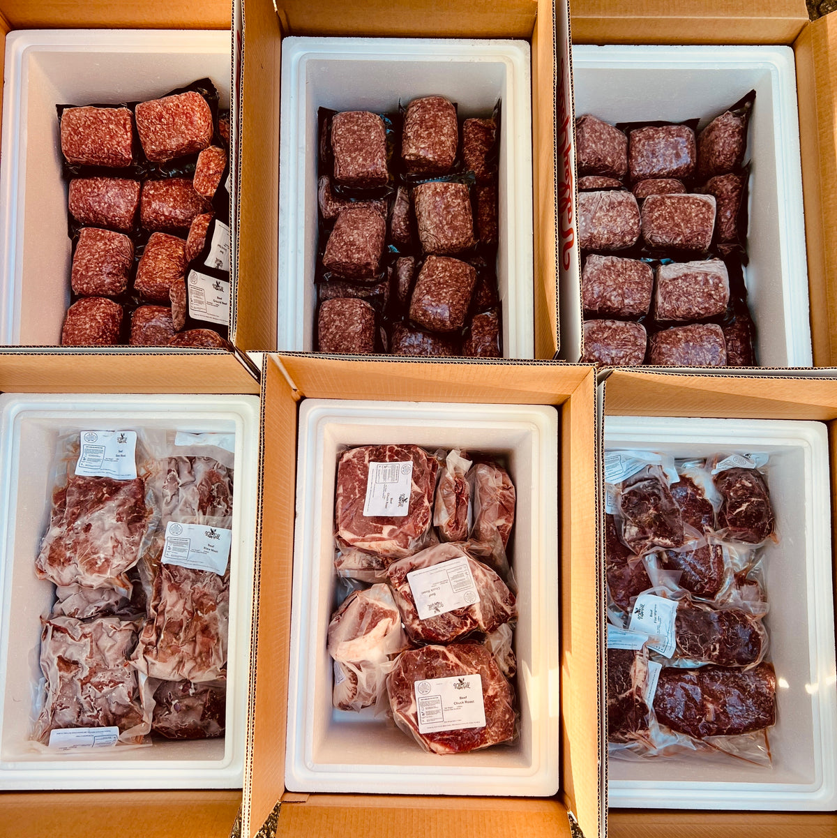 Insulated boxes filled with vacuum-sealed American Angus beef from a half beef share